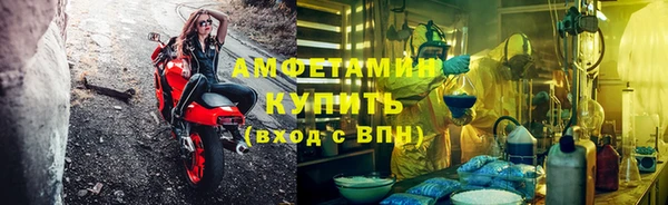 спиды Богородицк